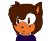 xXSonicYashaXx
