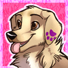 SoulRetriever