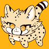 DashtheCheetah