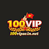 100Vipaeinnet