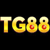 tg88z1com1