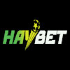 haybettitcom