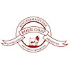 deboergiongcom