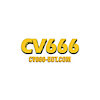 cv666bdtcom1