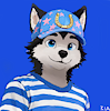 Skiesoy