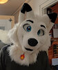 SwiftyFox
