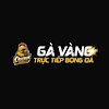 gavangtvcfd