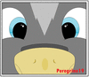 peregrine19