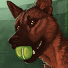LabbeDog