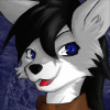 Wolffox70