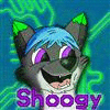 Shoogy