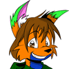 NinTheFolf