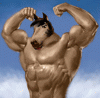 EQQUS