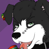 Traceypup