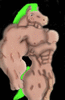 ceasurhoss