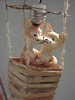 CeramicFox