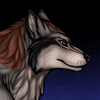 SDWolf