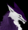 SariaDragonKitty