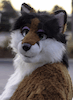 Hollyfox