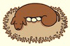 DogEggs