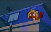 ChestFox