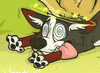 StripeyCoyote