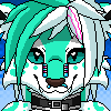 SierraStarpaw
