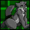 RufusWolf
