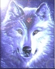 ShadowwolfTS