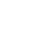 GunslingerDragon