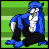 Jayfox
