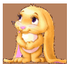 Blackbunny
