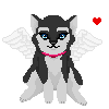 Kanou