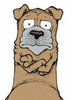 efintopdog