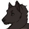 RayenWolf