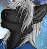 Zwolf