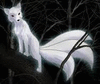 Boothefox
