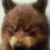 RicanWolf