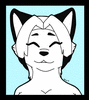 boltthewolf5522