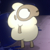 wool
