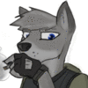 JohanTheWolf