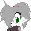 XpKasamoto