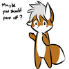 CollaredFox
