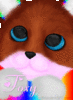FoxyRainbowz
