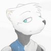 swgfurry