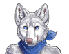 ShaneTheWolf