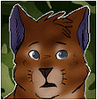 SketchCat