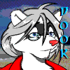 Dook