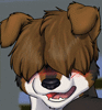 Koge