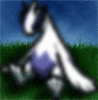 Sleep